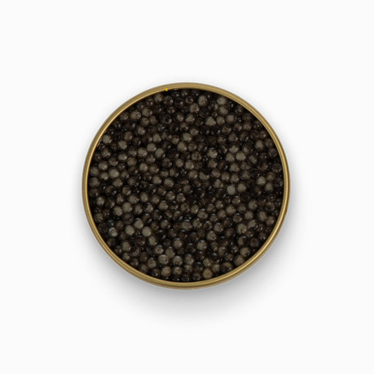 Classic Russian Sturgeon Caviar 1.8 oz