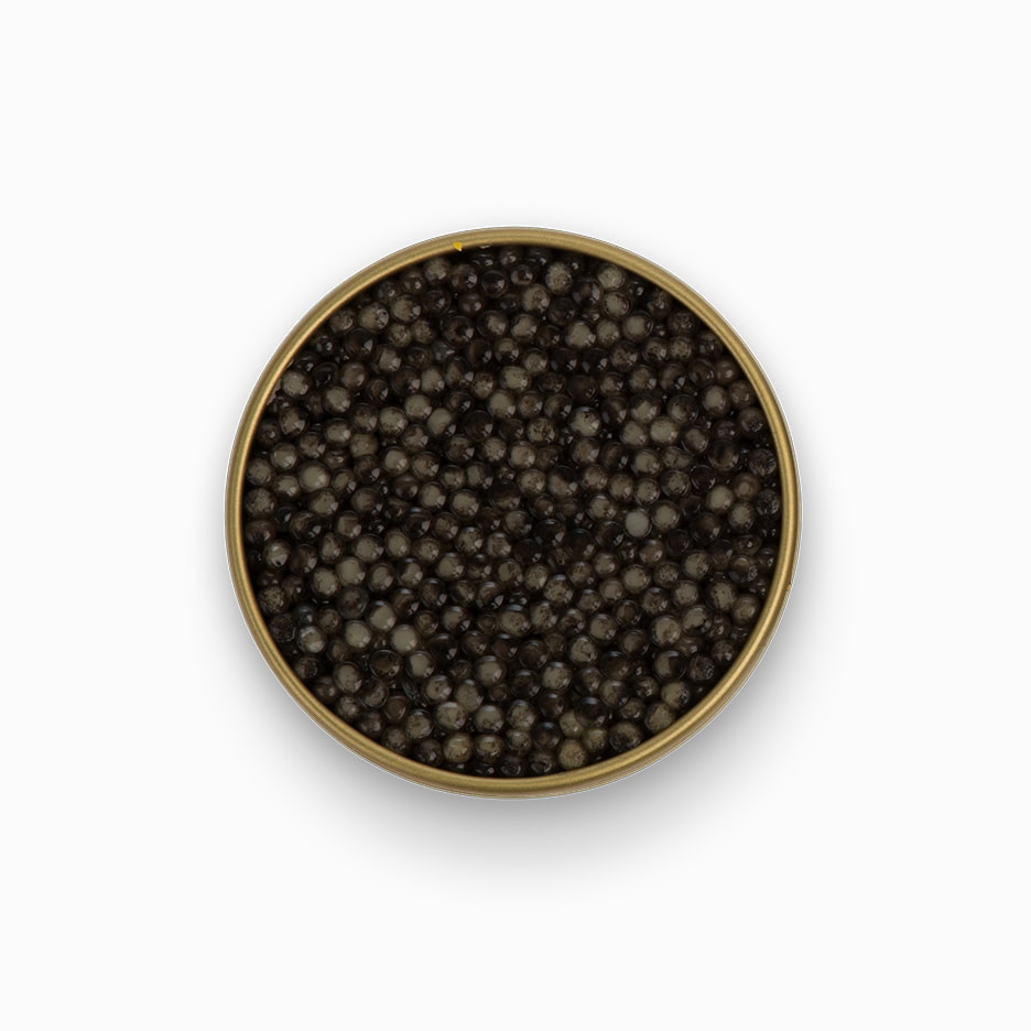 Classic Russian Sturgeon Caviar 3.5 oz