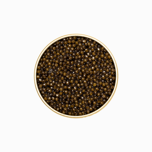Kaluga Fusion Amber Sturgeon caviar in an open metal tin 17.6 oz.