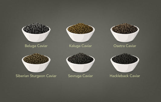 6 different types of Sturgeon Caviar