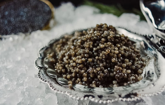 Kaluga Fusion Caviar on ice.