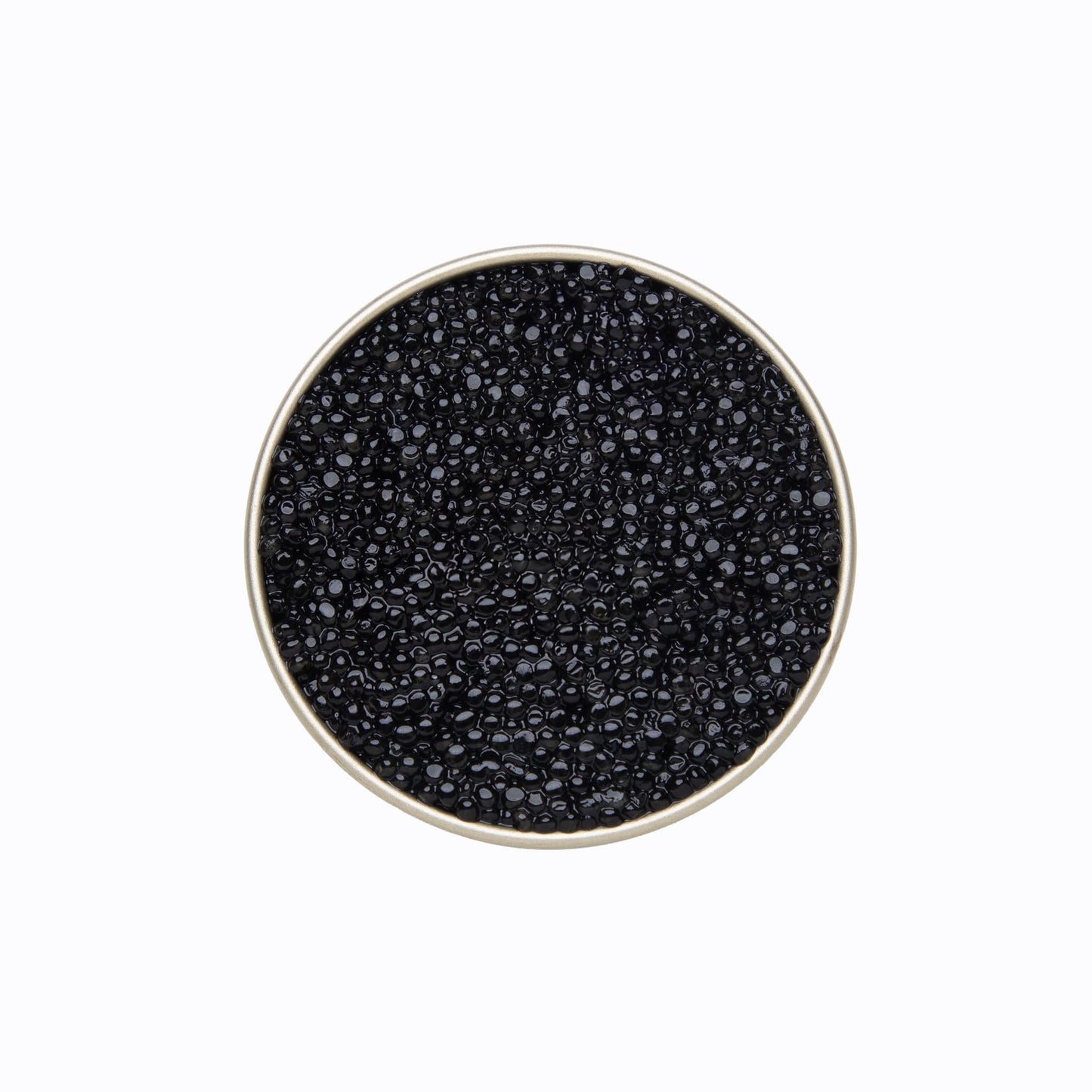 Paddlefish Black Caviar