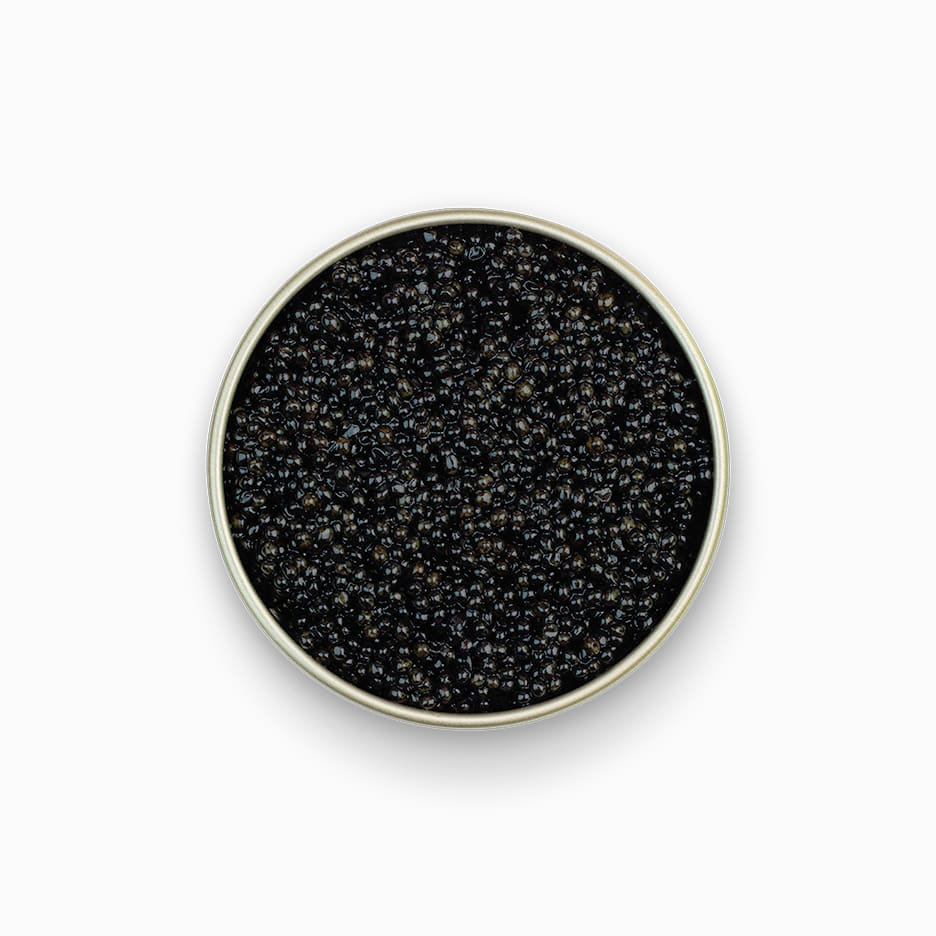 American Hackleback Sturgeon caviar in an open metal tin 17.6 oz.