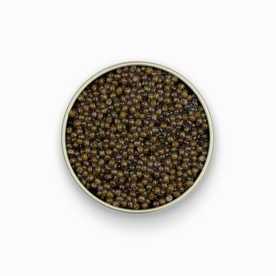 Classic Osetra Caviar in an open metal tin 4.4 oz.