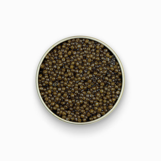 Classic Osetra Caviar in an open metal tin 8.8 oz.