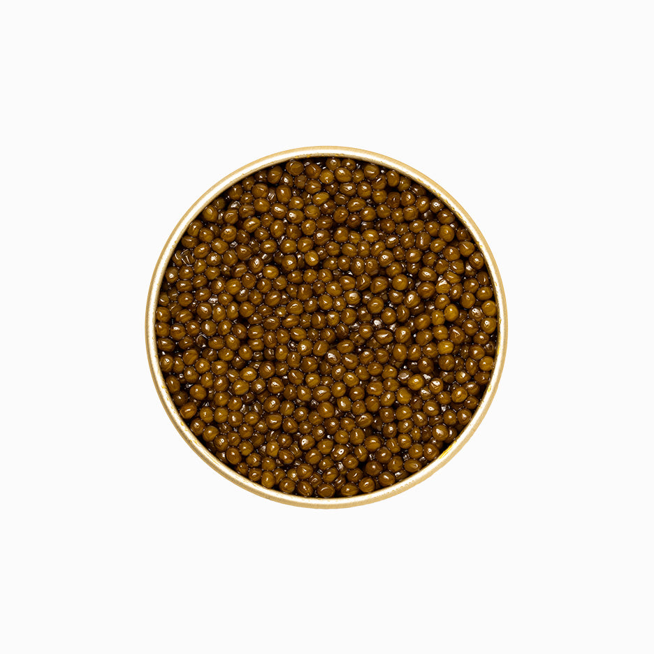 Golden Osetra Caviar in an open metal tin 8.8 oz.