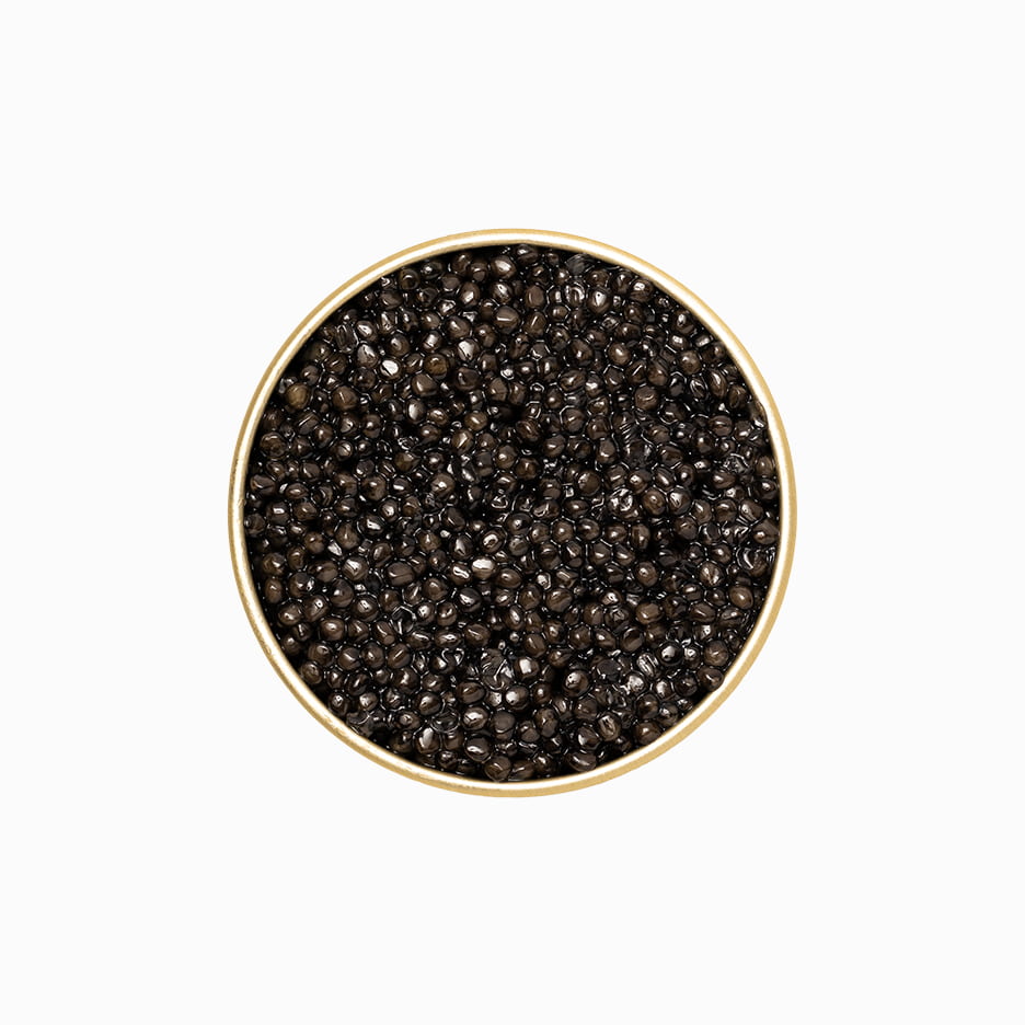 Royal Siberian Sturgeon caviar in an open metal tin 8.8 oz.