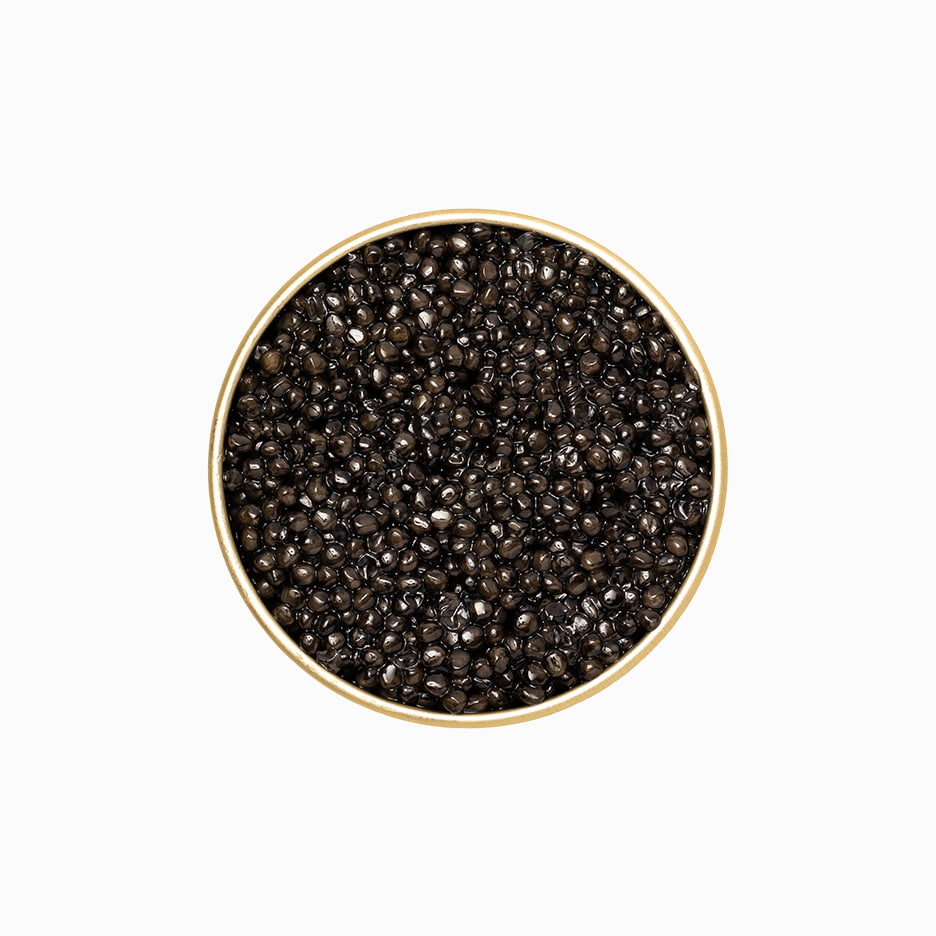 Royal Siberian Sturgeon caviar in an open metal tin 17.6 oz.