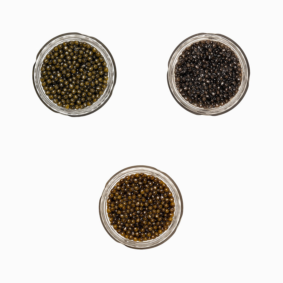 Classic Osetra, Siberian Sturgeon, Kaluga Caviar Tasting Set